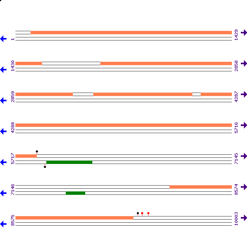 Genome View