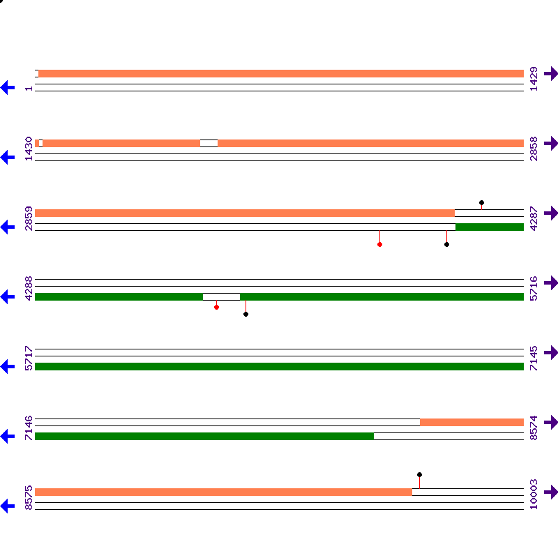 Genome View
