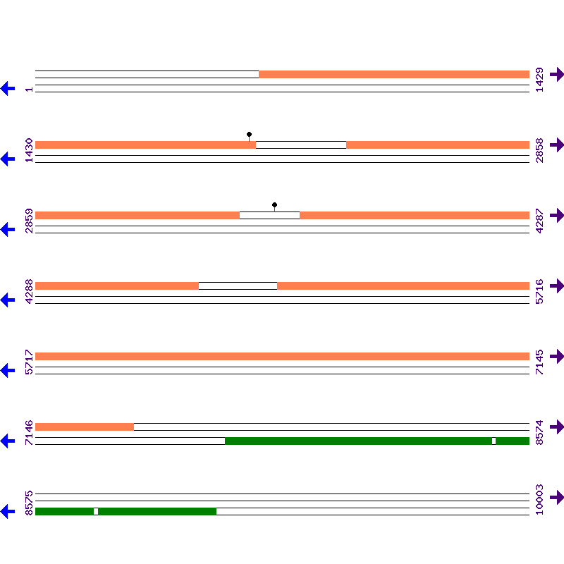 Genome View