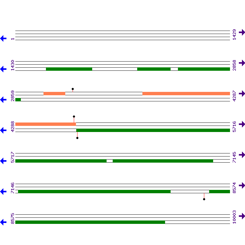 Genome View
