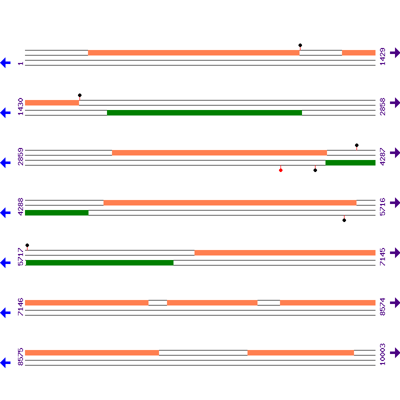 Genome View