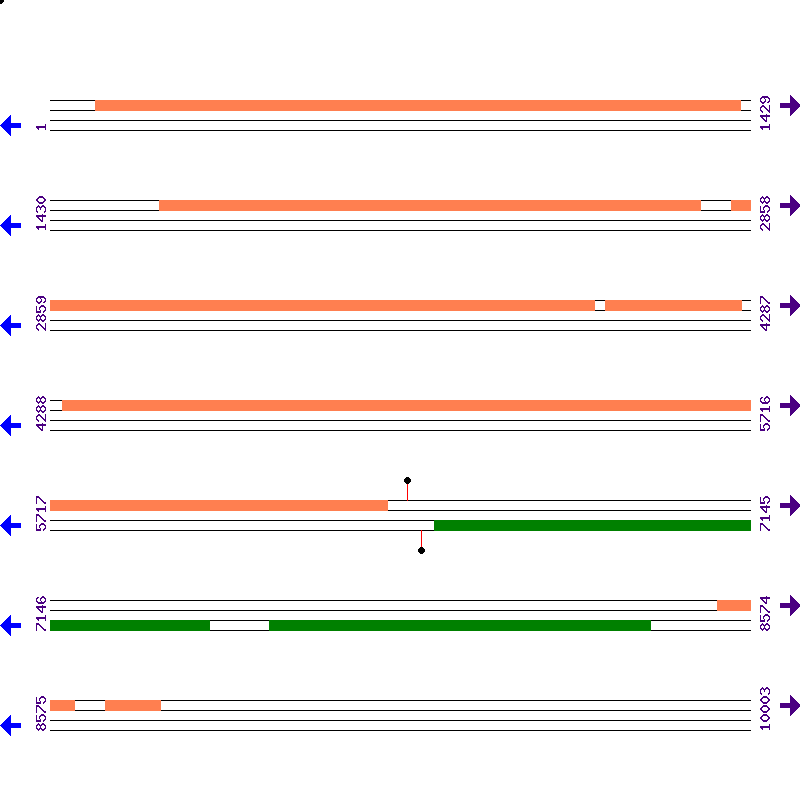 Genome View