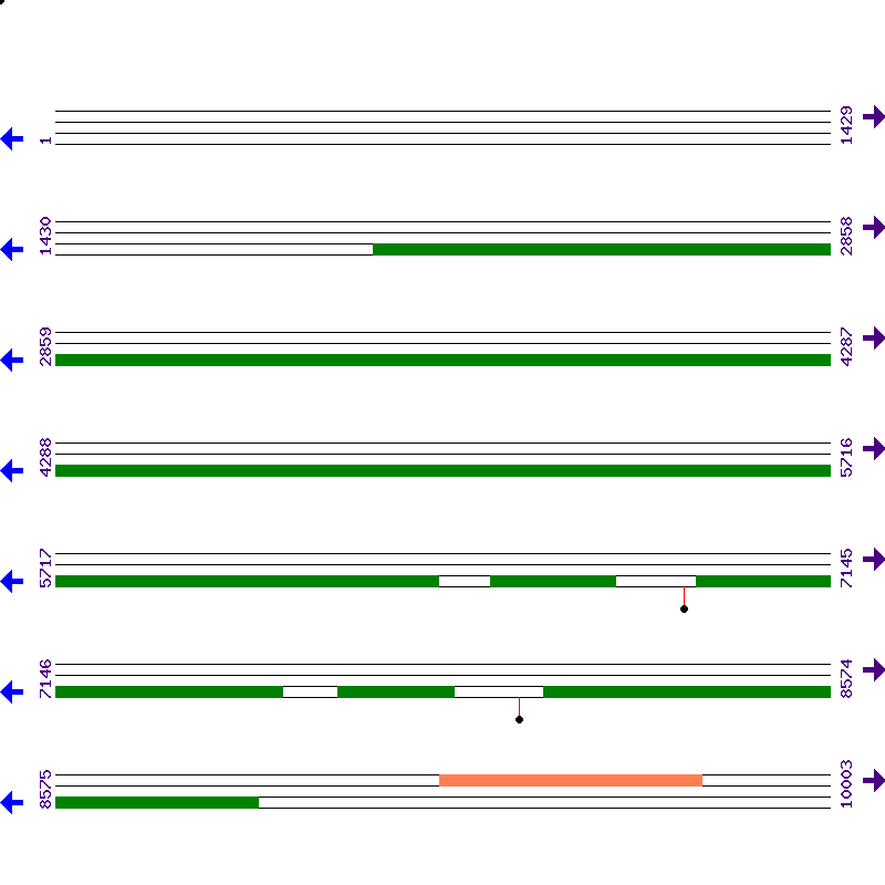 Genome View