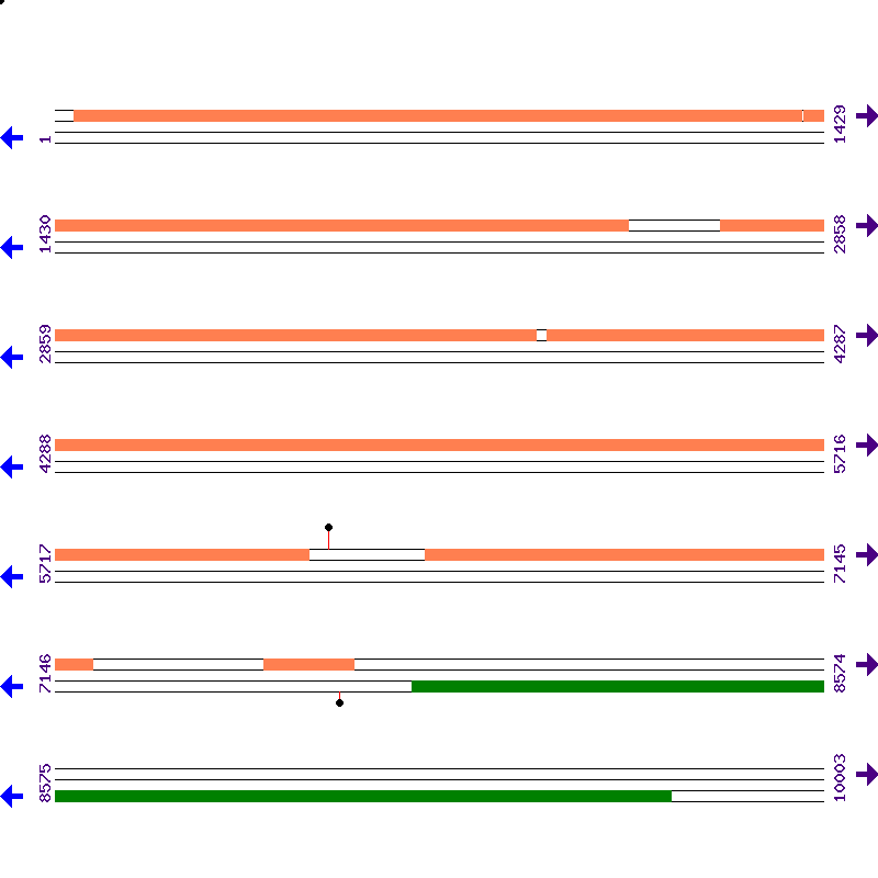 Genome View