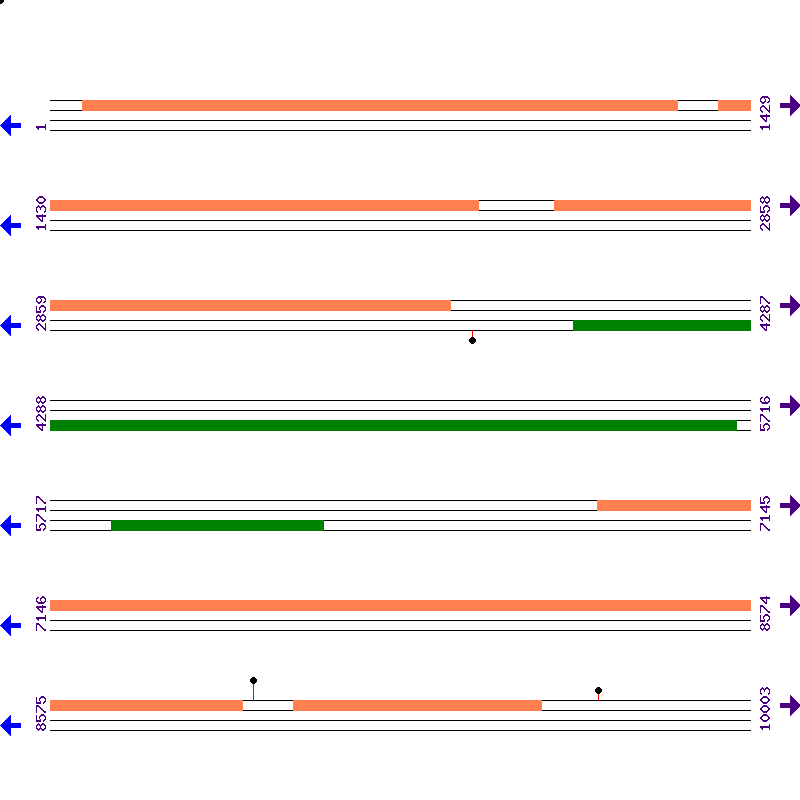 Genome View