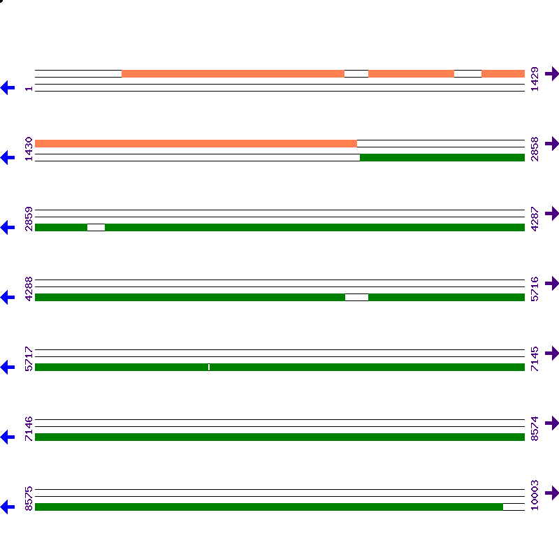 Genome View