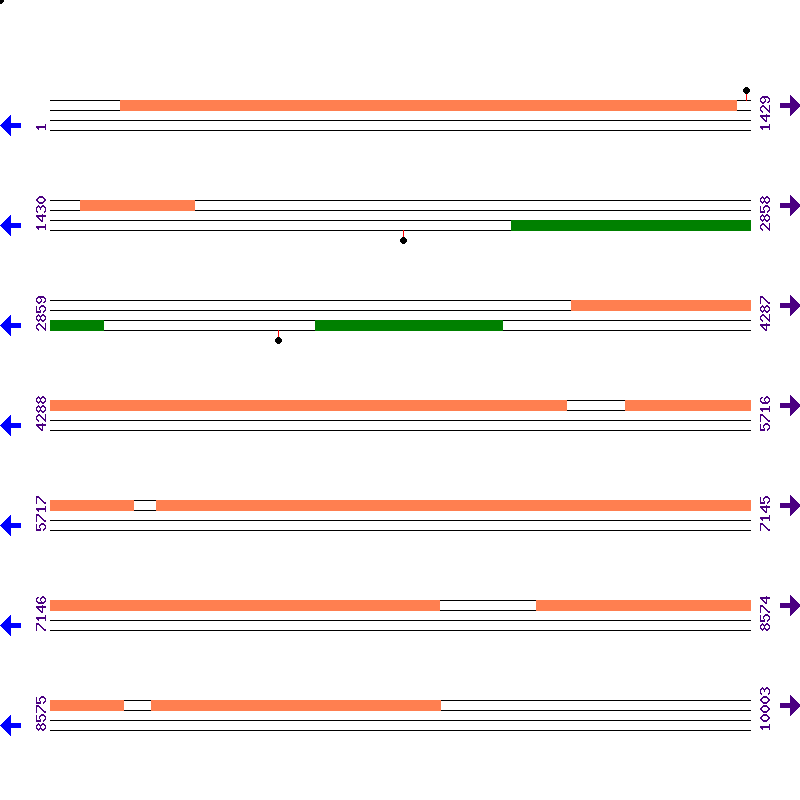 Genome View