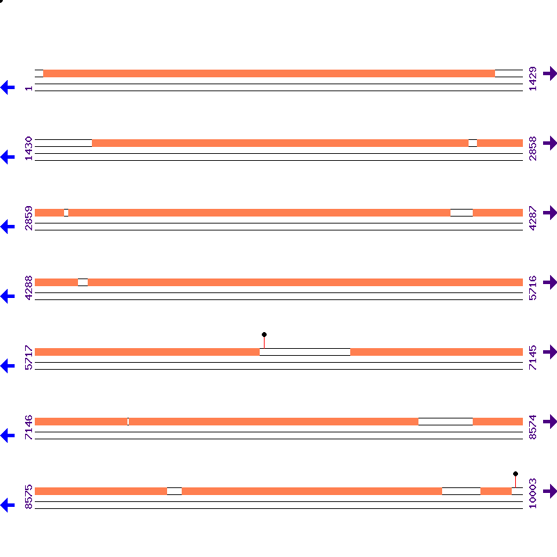 Genome View