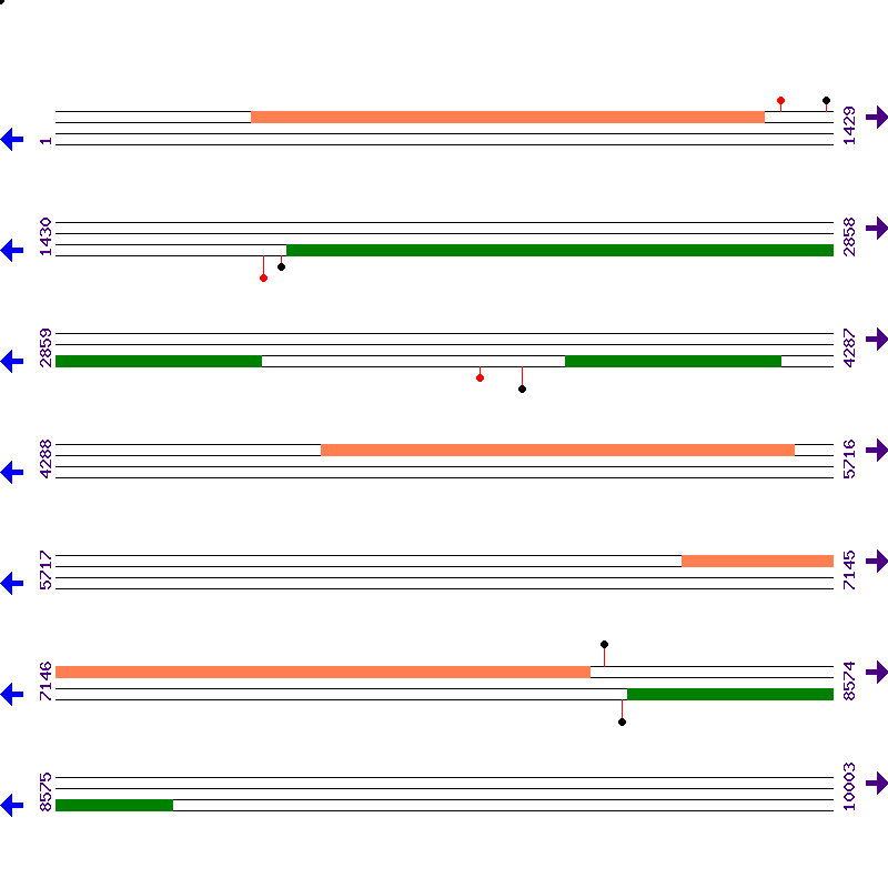 Genome View