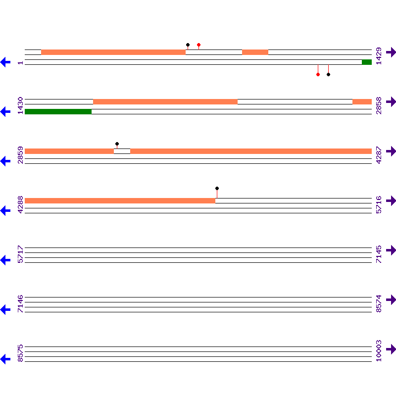 Genome View