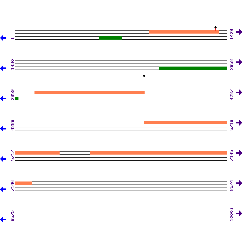 Genome View