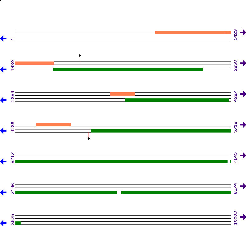 Genome View