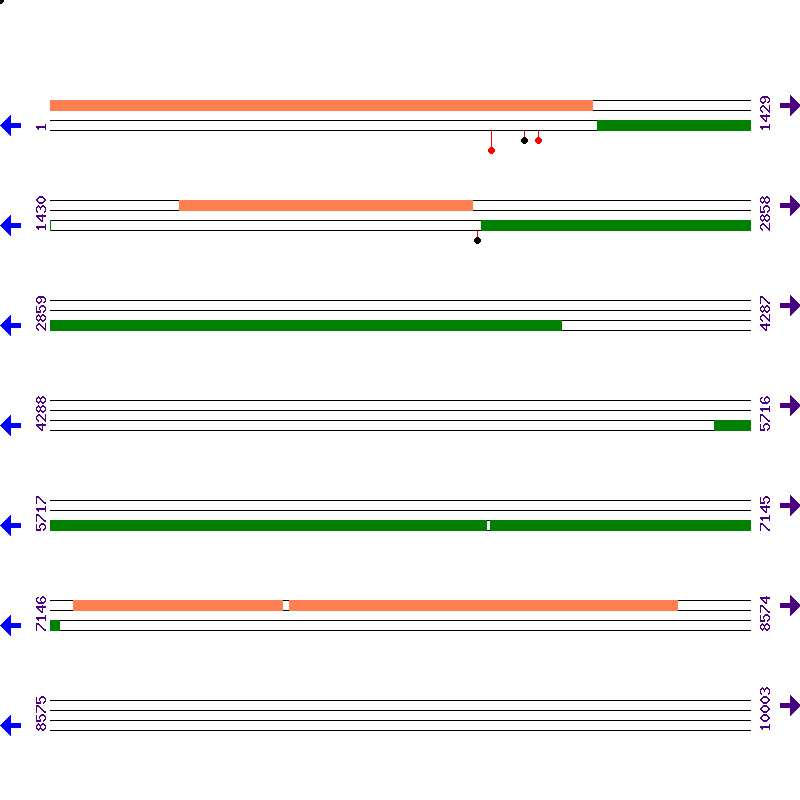 Genome View