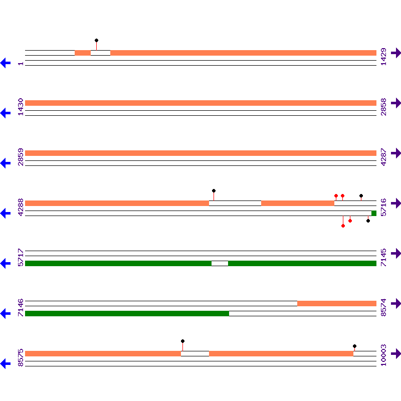 Genome View