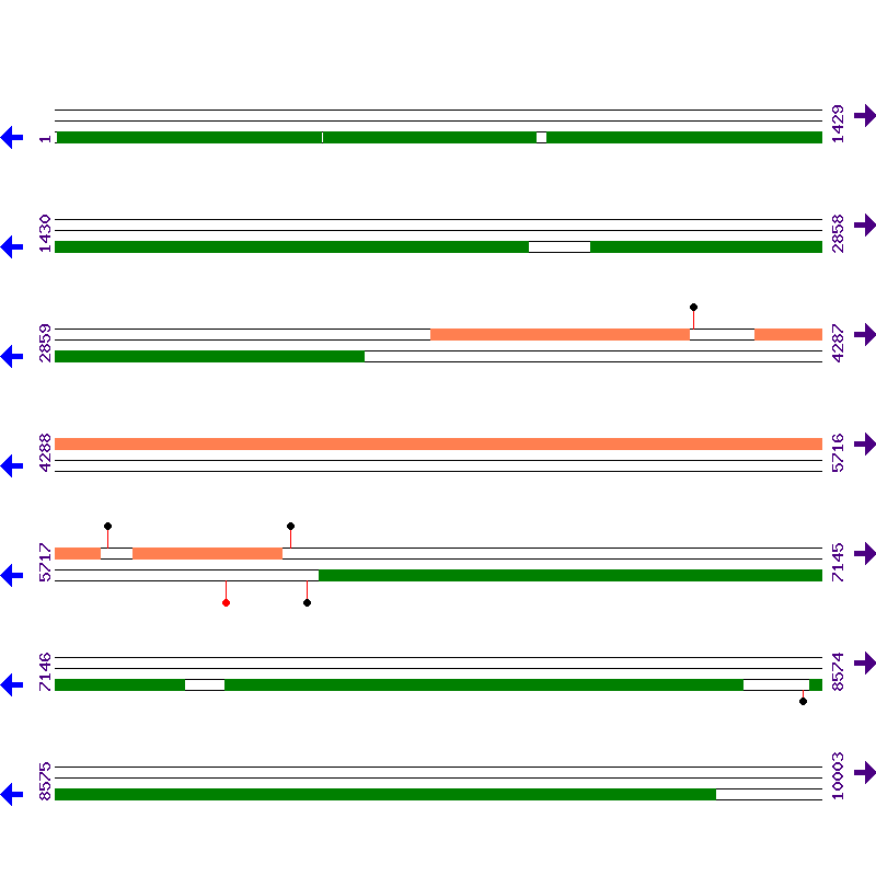 Genome View