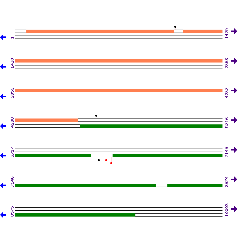 Genome View