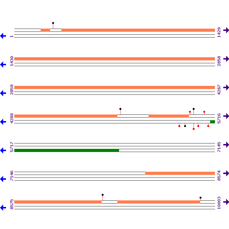 Genome View