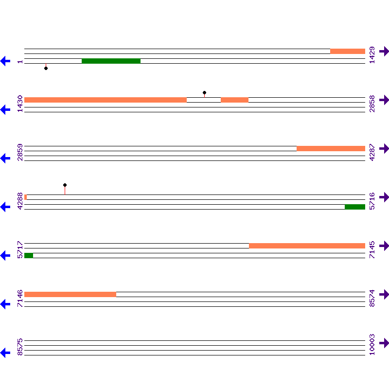 Genome View