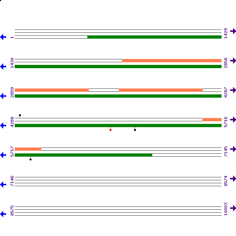 Genome View