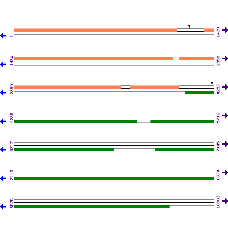 Genome View