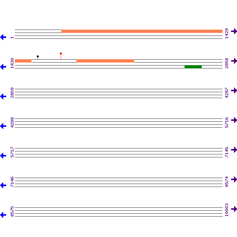 Genome View