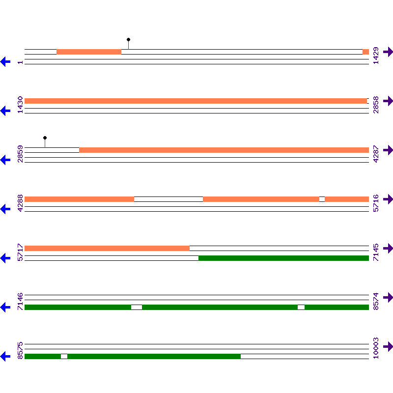 Genome View
