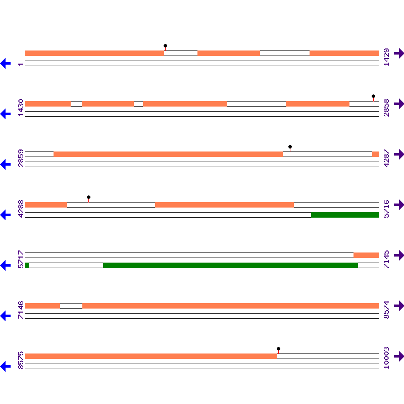 Genome View