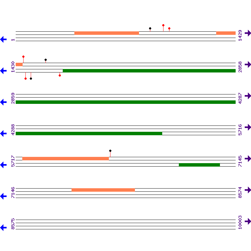 Genome View