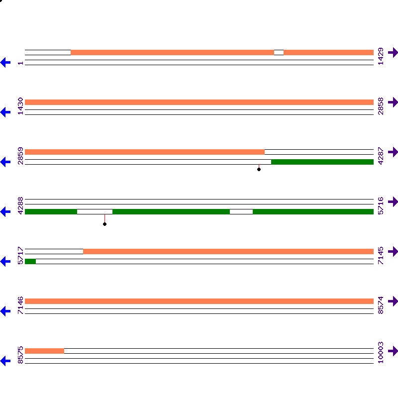 Genome View