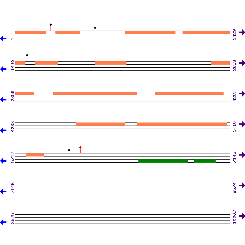 Genome View