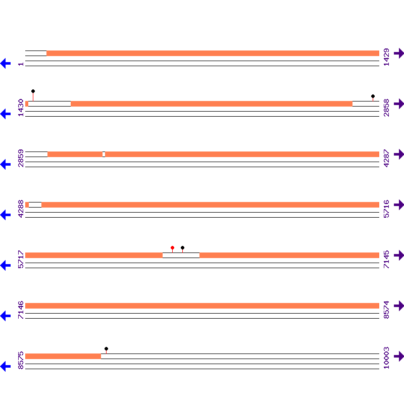Genome View