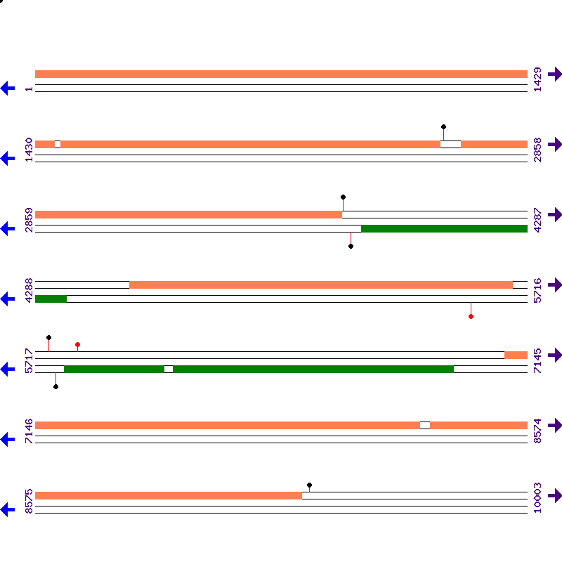 Genome View