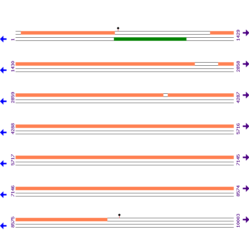 Genome View