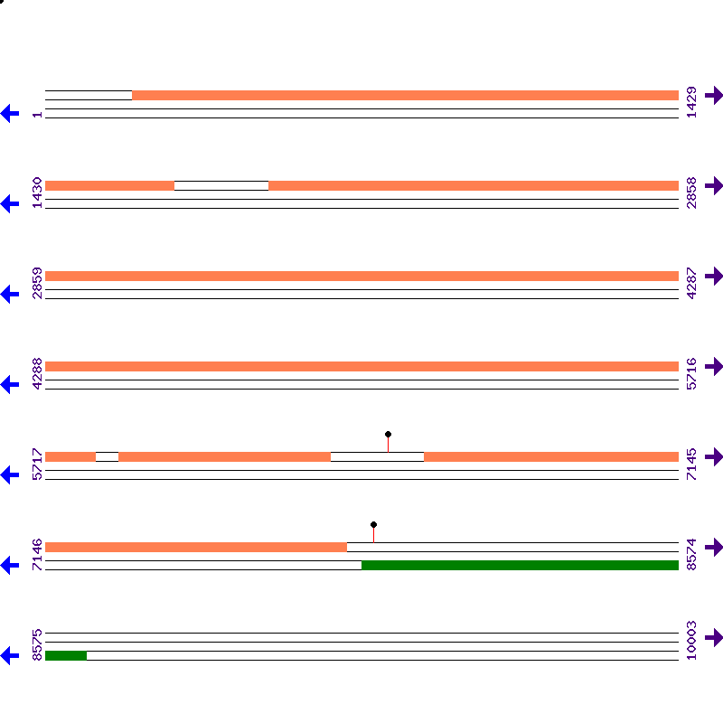 Genome View
