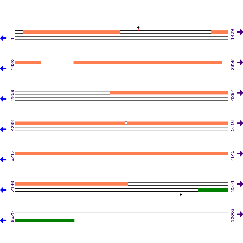 Genome View