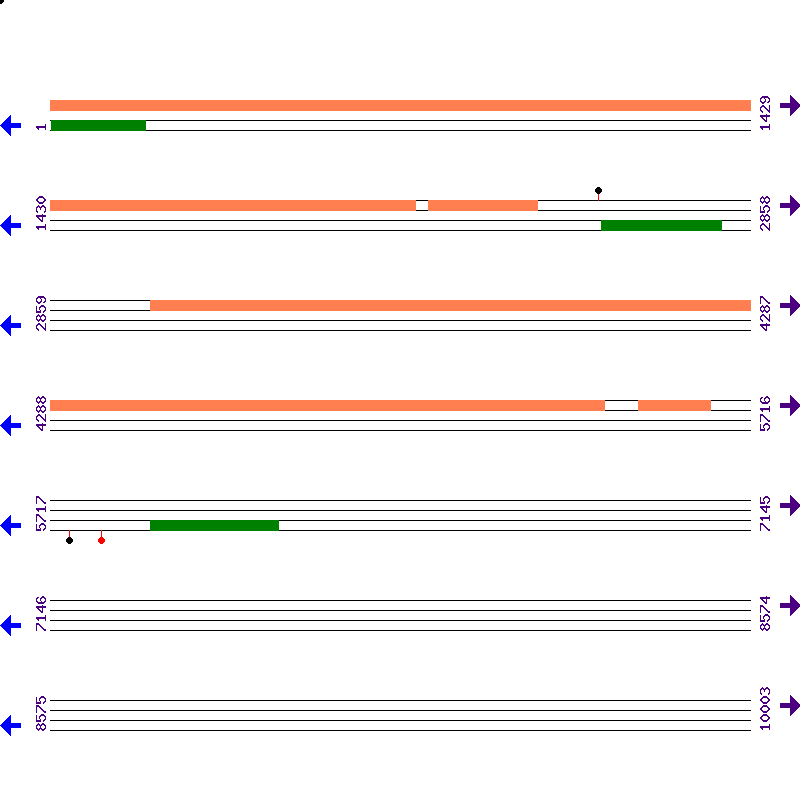 Genome View