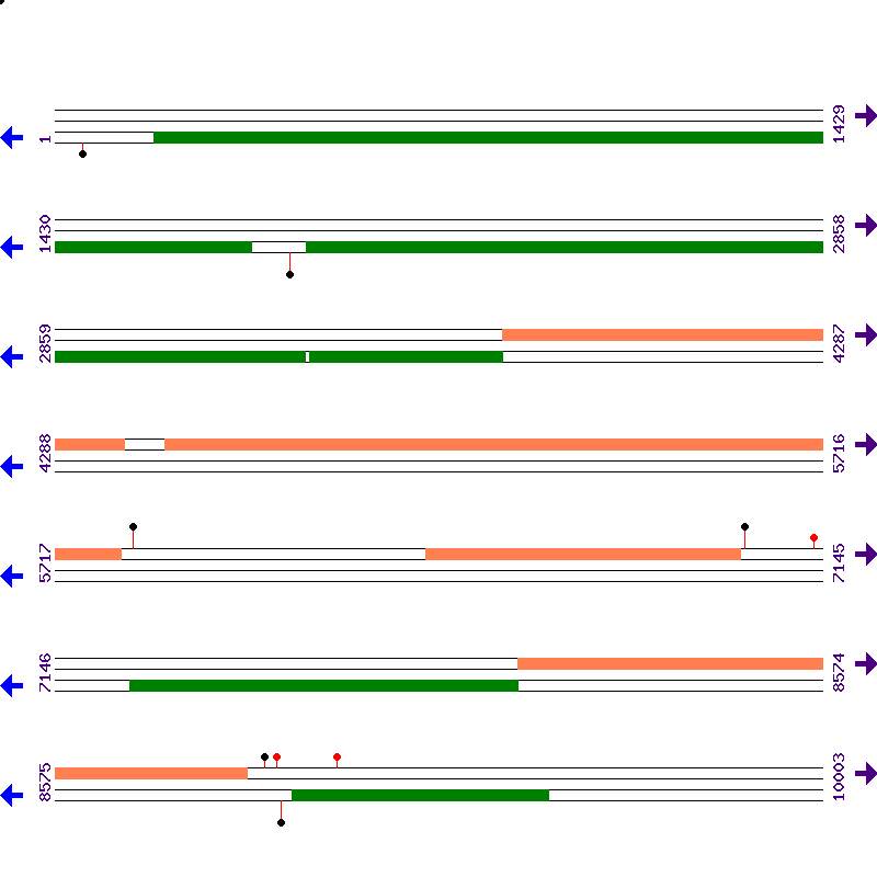 Genome View