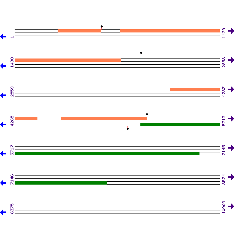 Genome View