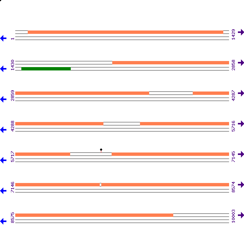 Genome View