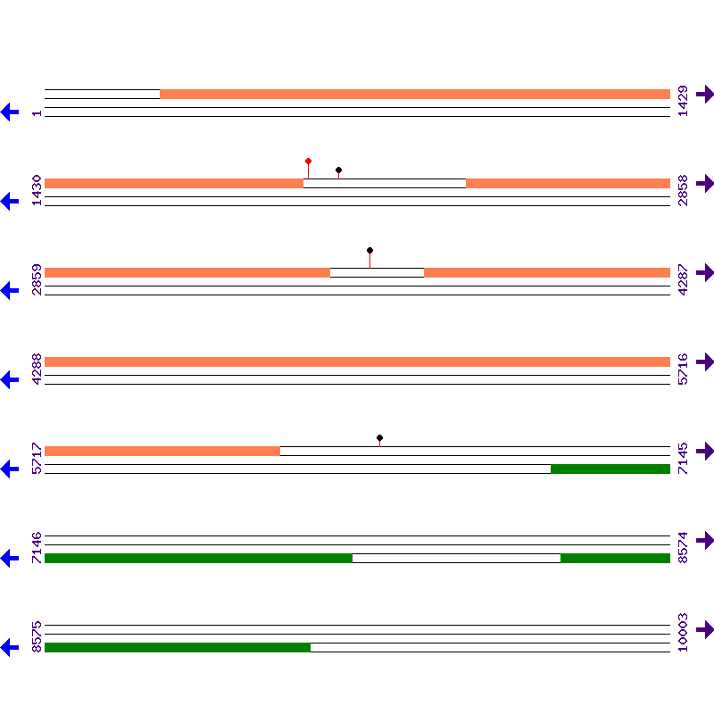 Genome View