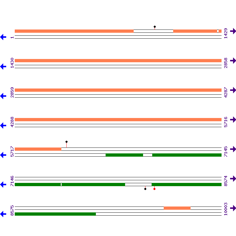 Genome View