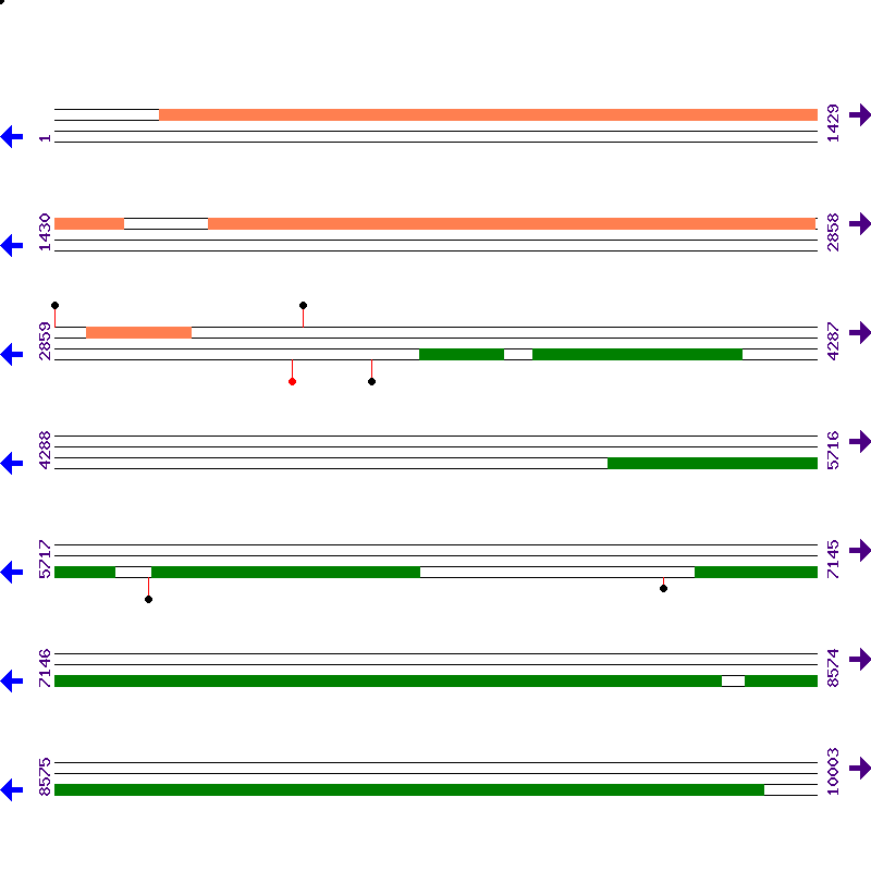 Genome View