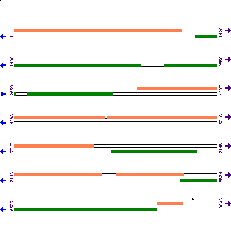 Genome View