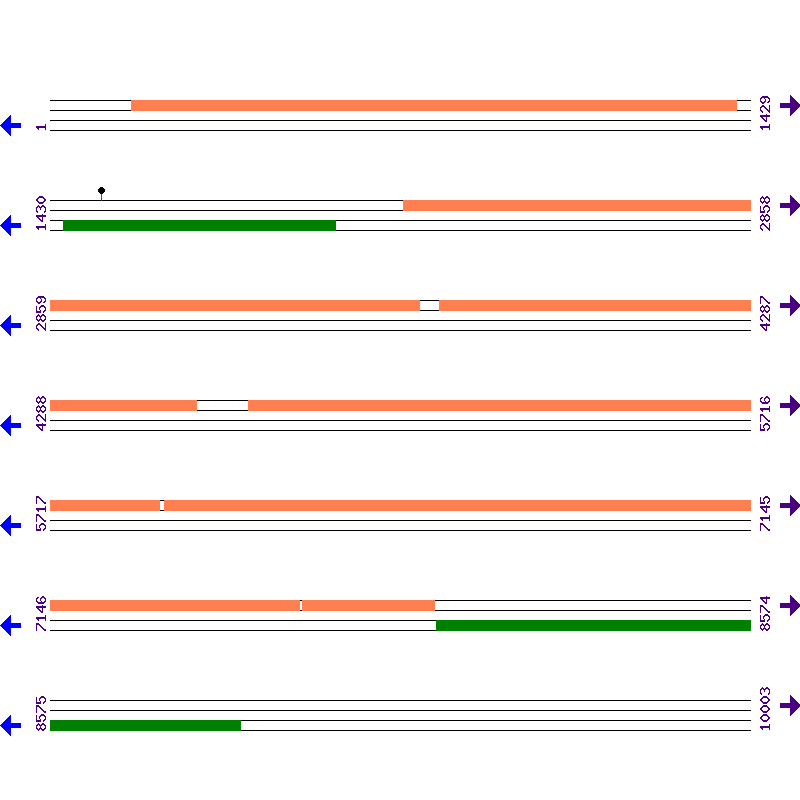 Genome View