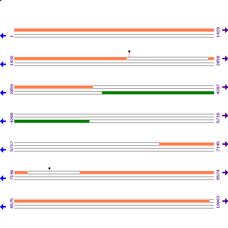 Genome View