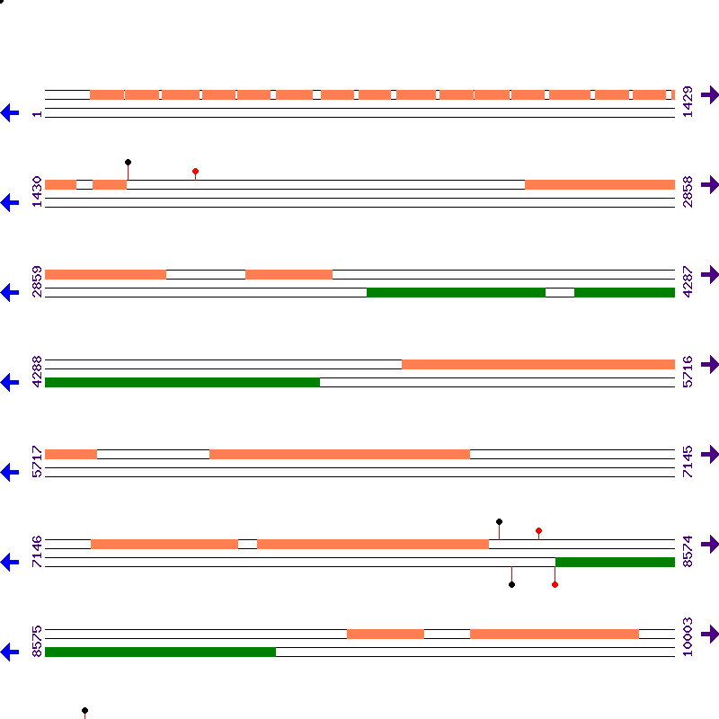 Genome View