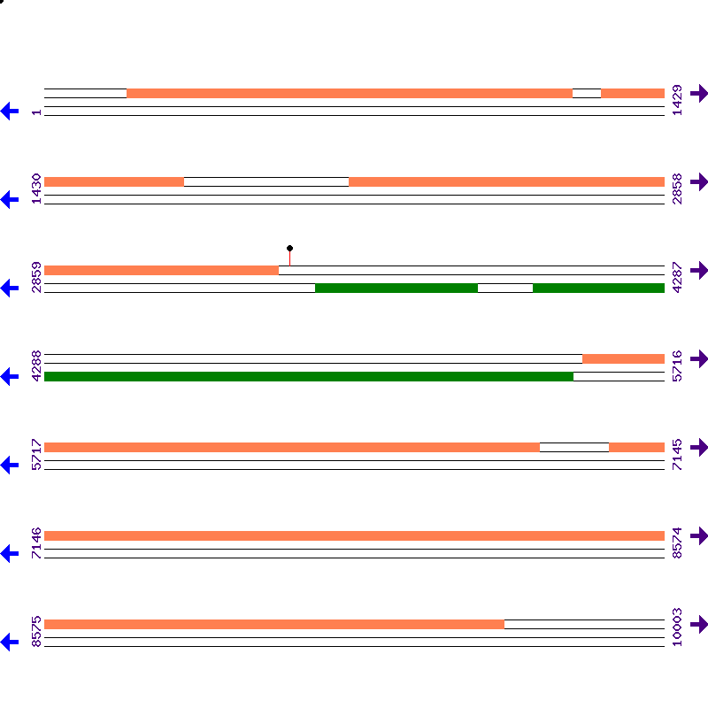 Genome View