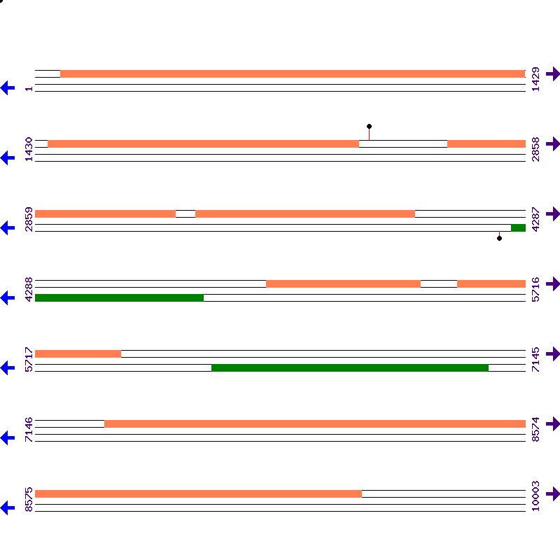 Genome View