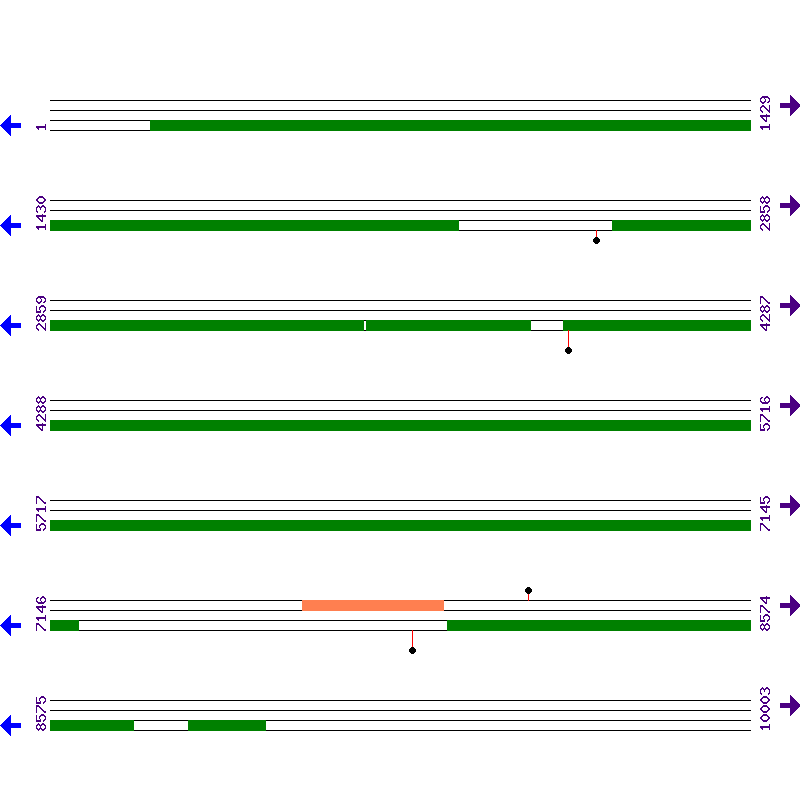 Genome View