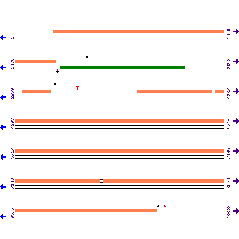Genome View